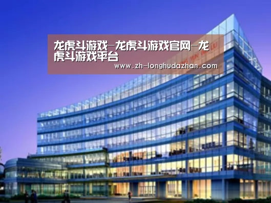 龙虎斗网站案例展示三