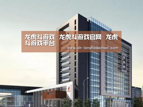 龙虎斗网站案例展示四