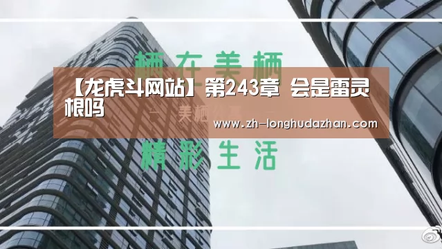 龙虎斗网站