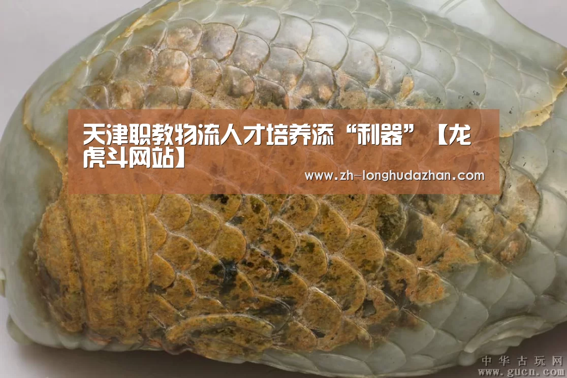 天津职教物流人才培养添“利器”【龙虎斗网站】(图1) 龙虎斗网站