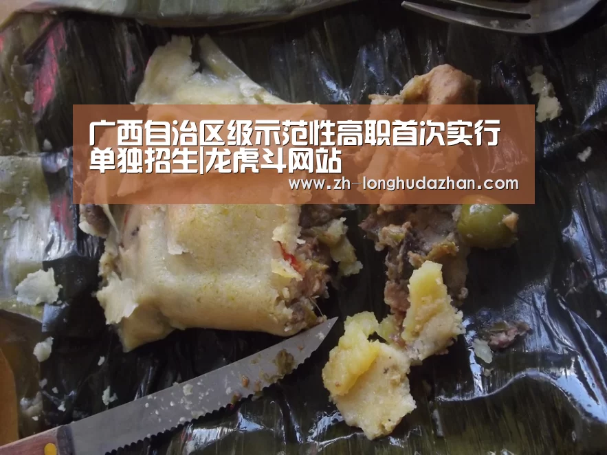 广西自治区级示范性高职首次实行单独招生|龙虎斗网站(图1) 龙虎斗网站