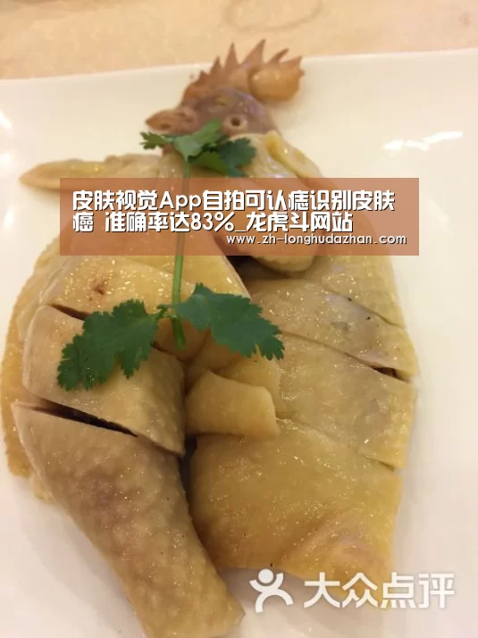 龙虎斗网站