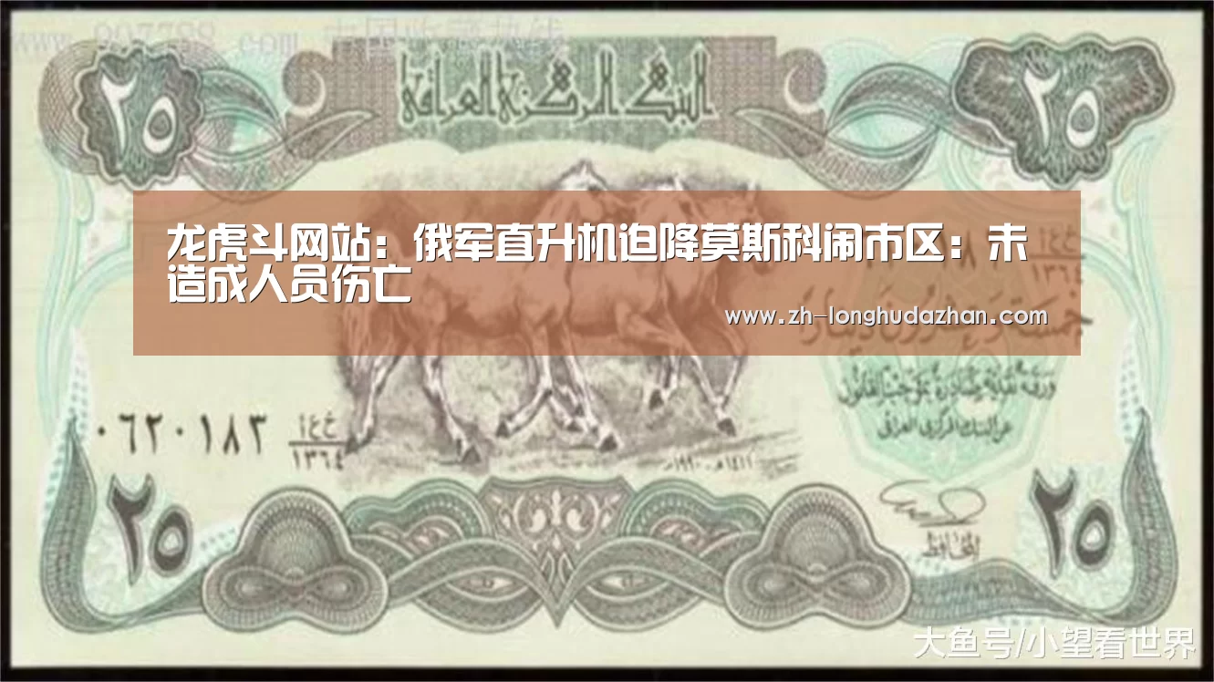 龙虎斗网站
