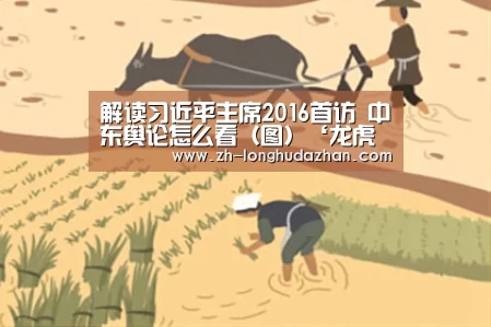 解读习近平主席2016首访 中东舆论怎么看(图)‘龙虎斗网站’(图1) 龙虎斗网站