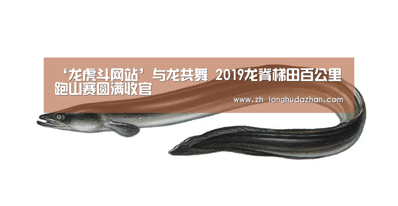 ‘龙虎斗网站’与龙共舞 2019龙脊梯田百公里跑山赛圆满收官(图2) 龙虎斗网站